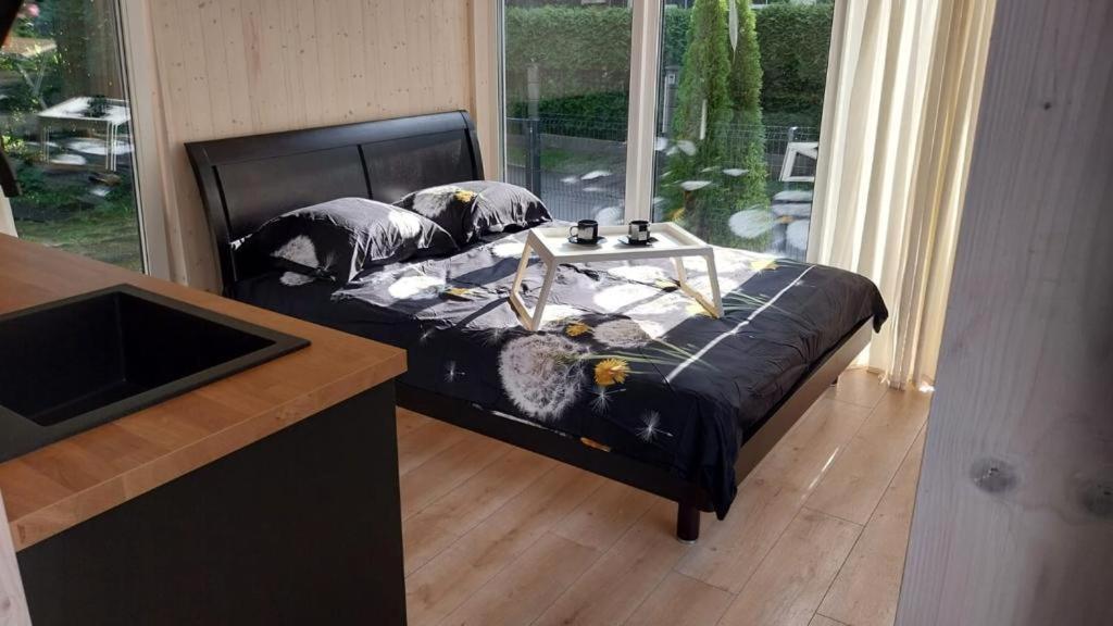 Baltic House & Holiday home *